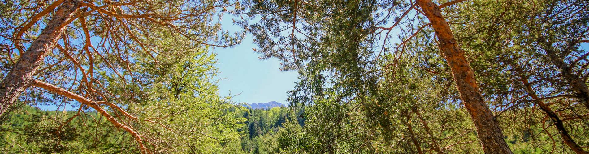 camping nature barcelonnette
