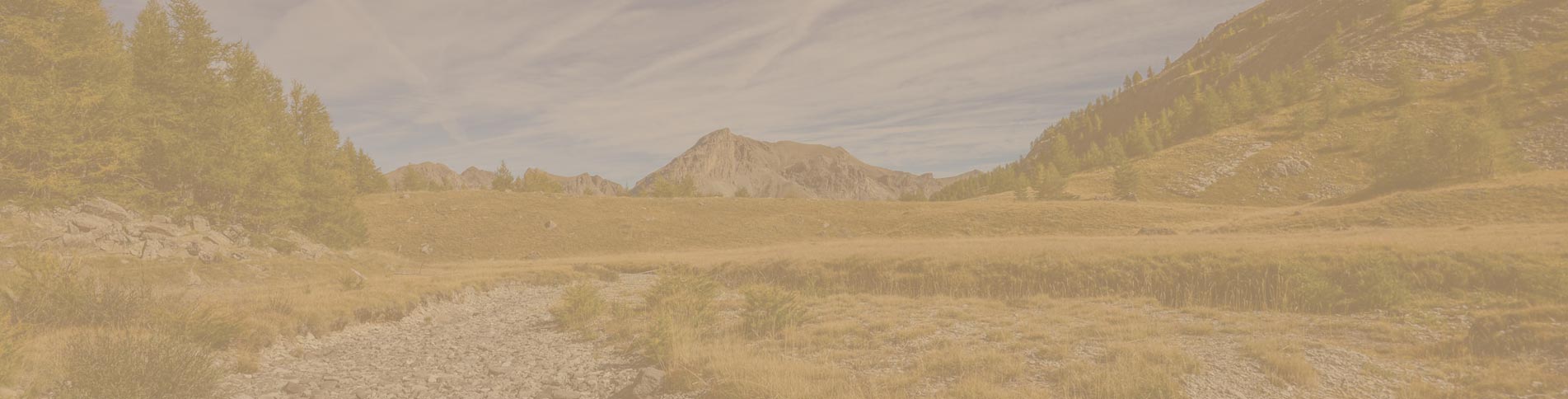 camping services barcelonnette